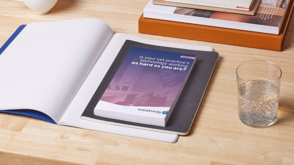 Is your vet practice’s technology working as hard as you are?